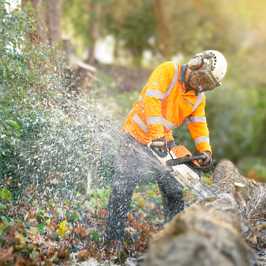Facilities photography – tree surgeon with chainsaw in safety gear – outdoor maintenance